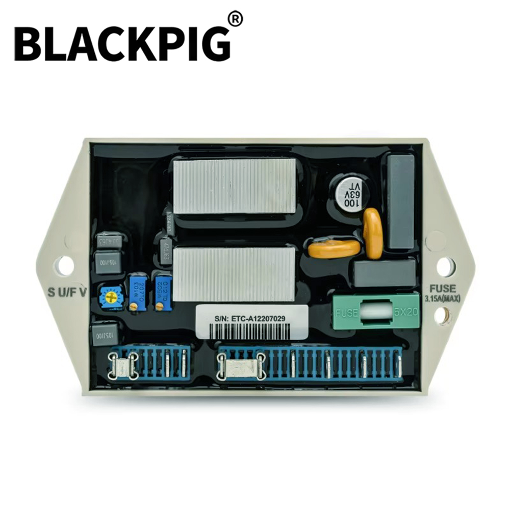 2026 ETC-A1 AVR 발전기 자동 전압 조정기  - Cycloidal Reducer Bldc Motor 리뷰 및 가격
